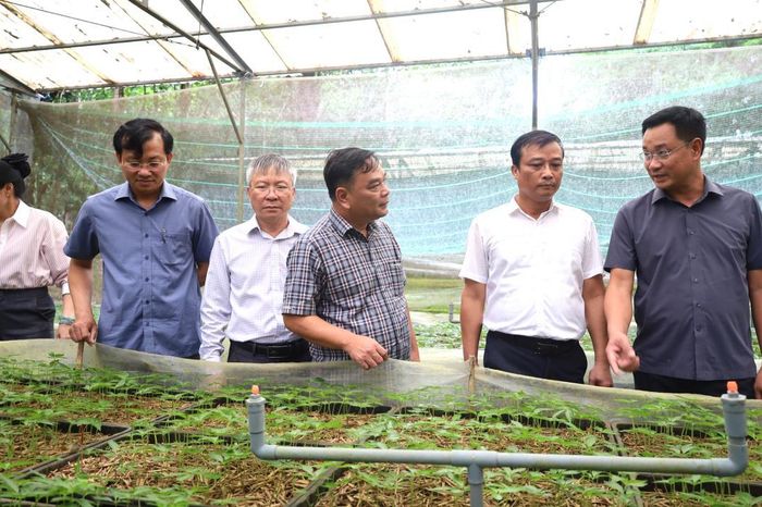 Bí thư Thành ủy Đà Nẵng Lê Ngọc Quang thăm, làm việc tại vùng sâm Ngọc Linh - Chuyên trang Công an Đà Nẵng - Báo Công an Nhân dân