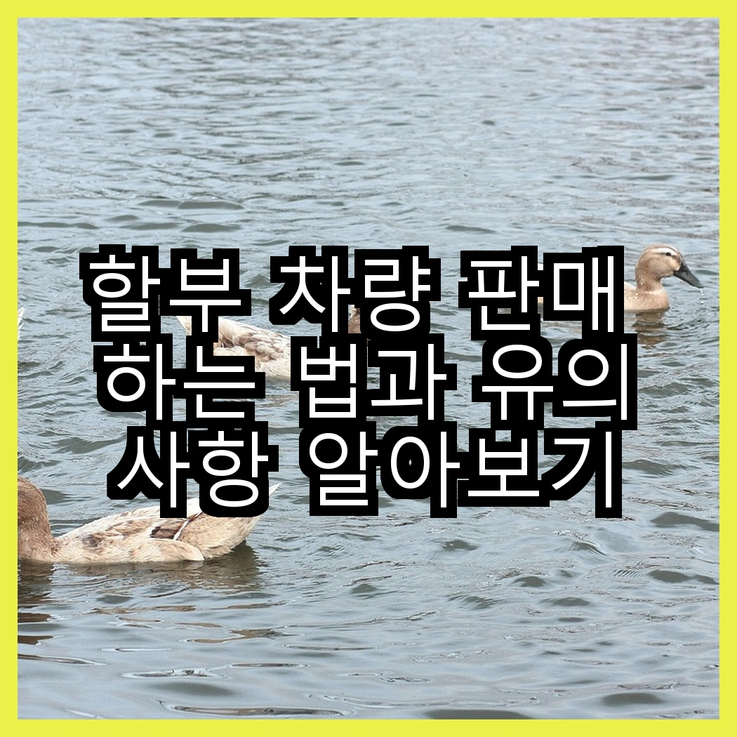 할부 차량 판매 하는 법과 유의사항 알아보기 썸네일
