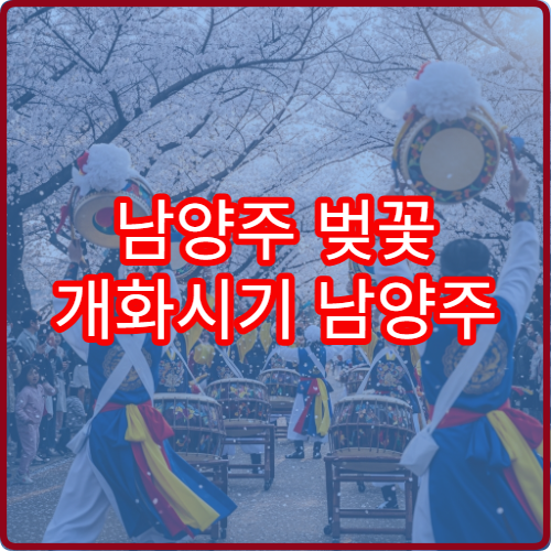 남양주 벚꽃 개화시기 남양주 벚꽃 절정