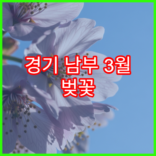 경기 남부 3월 벚꽃 가족 나들이 코스 모음
