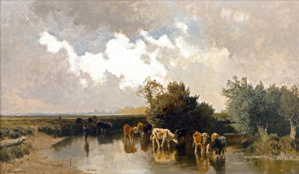KüHe An Der TräNke Bei Abendstimmung