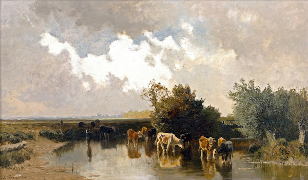 KüHe An Der TräNke Bei Abendstimmung