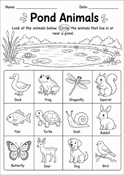 Pond Animals
