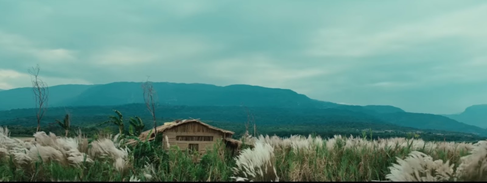 Rural Bangladesh river - cinematic still