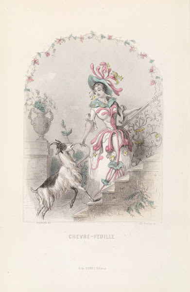 Chevre Feuille 1840s