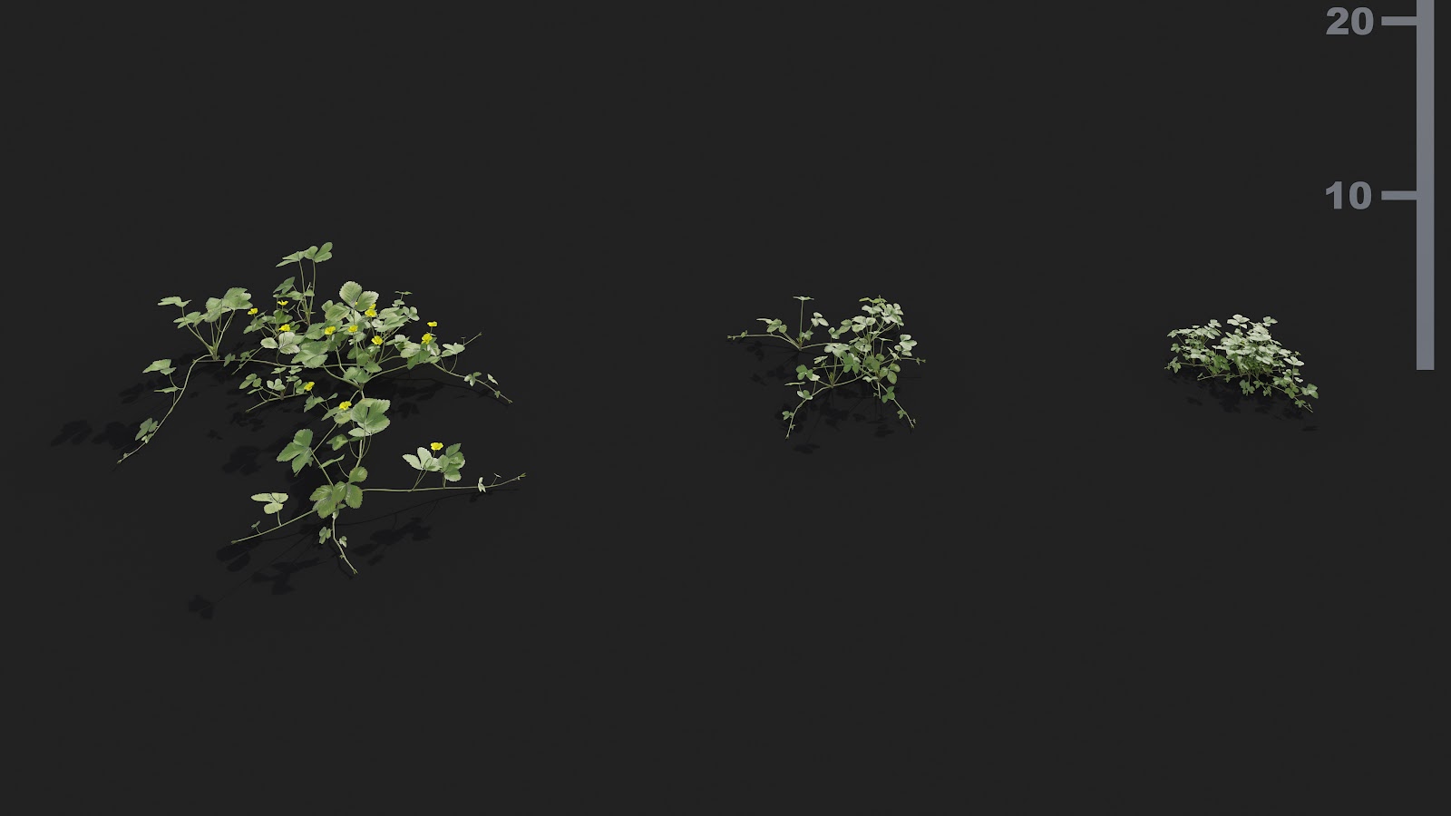 Maxtree - Plant Models Vol.21
