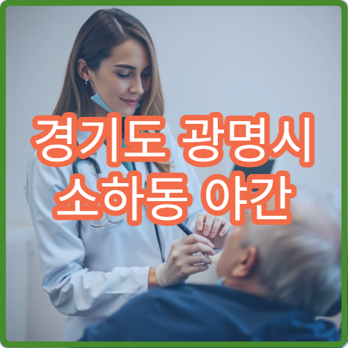 경기도 광명시 소하동 야간 소아과 병원 심야 아이 진료