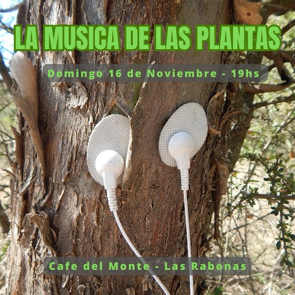 LA MUSICA DE LAS PLANTAS 🌱🎼