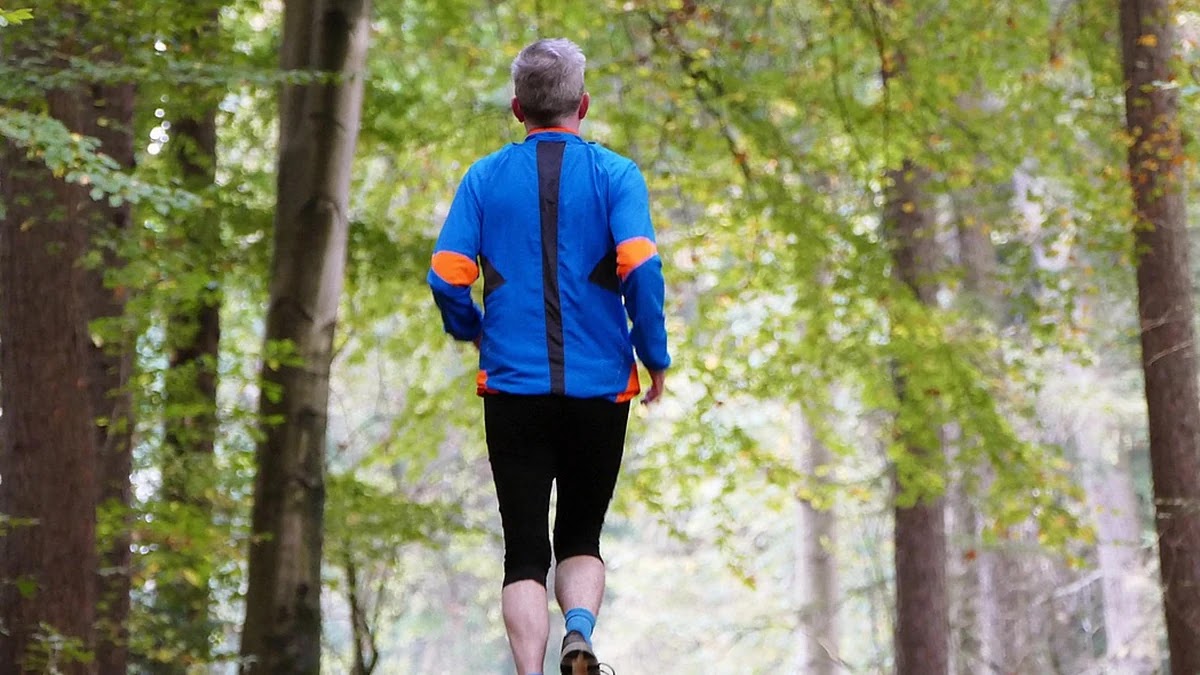 노화 예방을 위한 건강검진 항목별 기준과 준비 방법