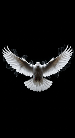Ethereal Dove Flight Black Background