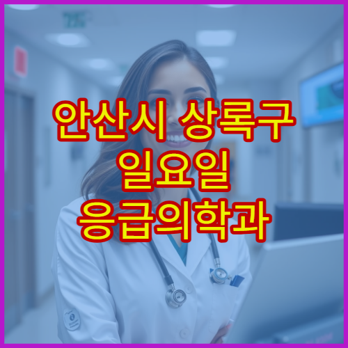 안산시 상록구 일요일 응급의학과 진료 병원 응급환자 진료·처치 가능