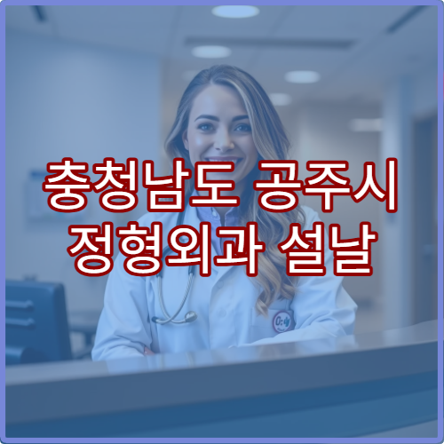 충청남도 공주시 정형외과 설날 명절 관절 부상·근육통 응급진료 병원