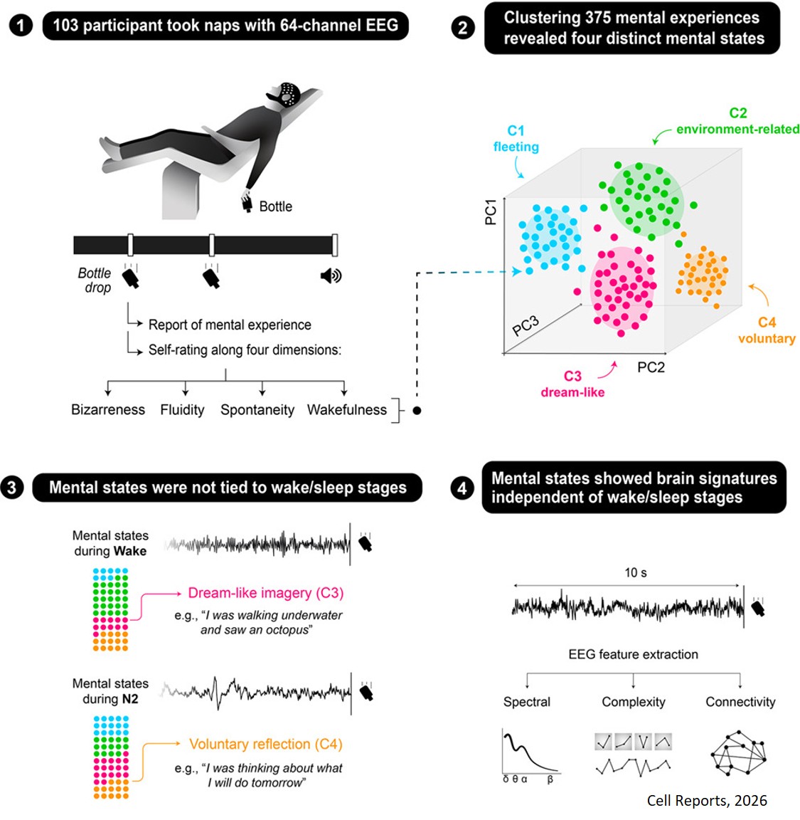 Dream-like mental states can occur during wakefulness