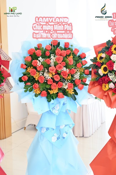 MCF_2846.jpg