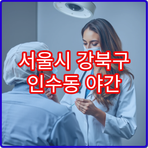 서울시 강북구 인수동 야간 산부인과 임신상담·불임 진료 병원