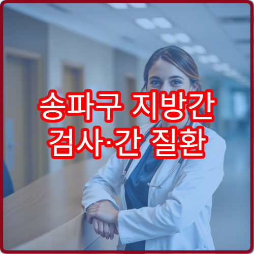 송파구 지방간 검사·간 질환 건강관리 병원 정보