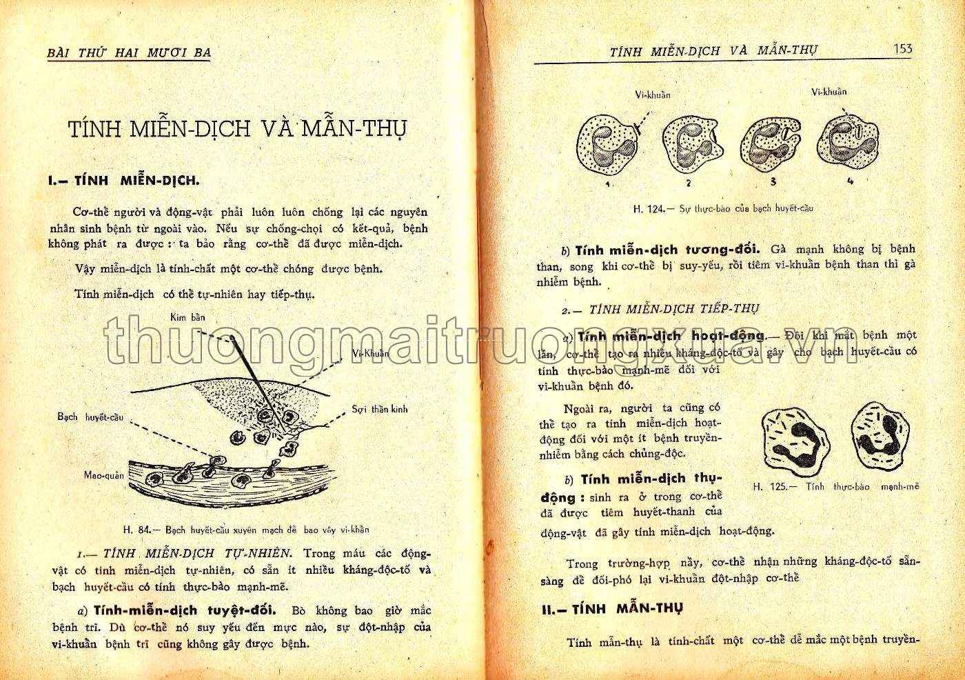 Vạn vật học lớp đệ tứ (1967) - Trang 77