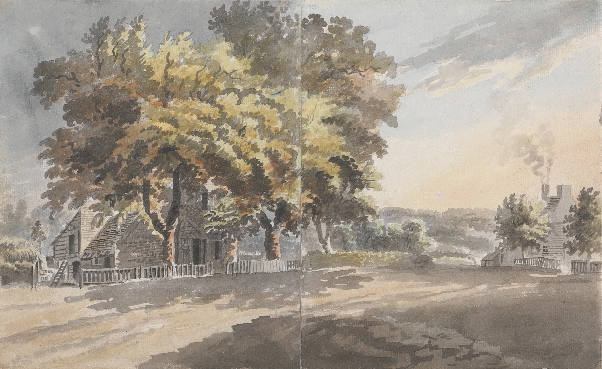 House  Trees
