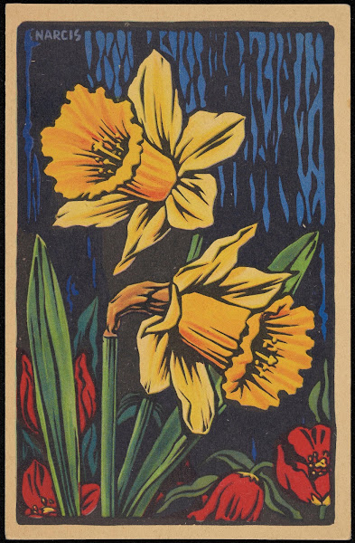 Narcis 1906
