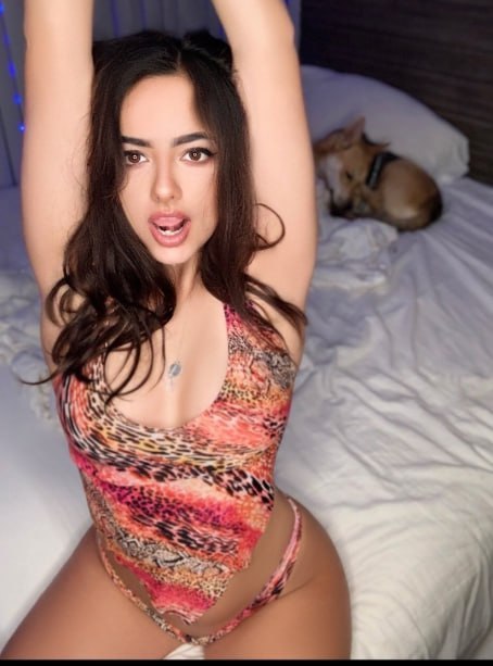 freakydesi