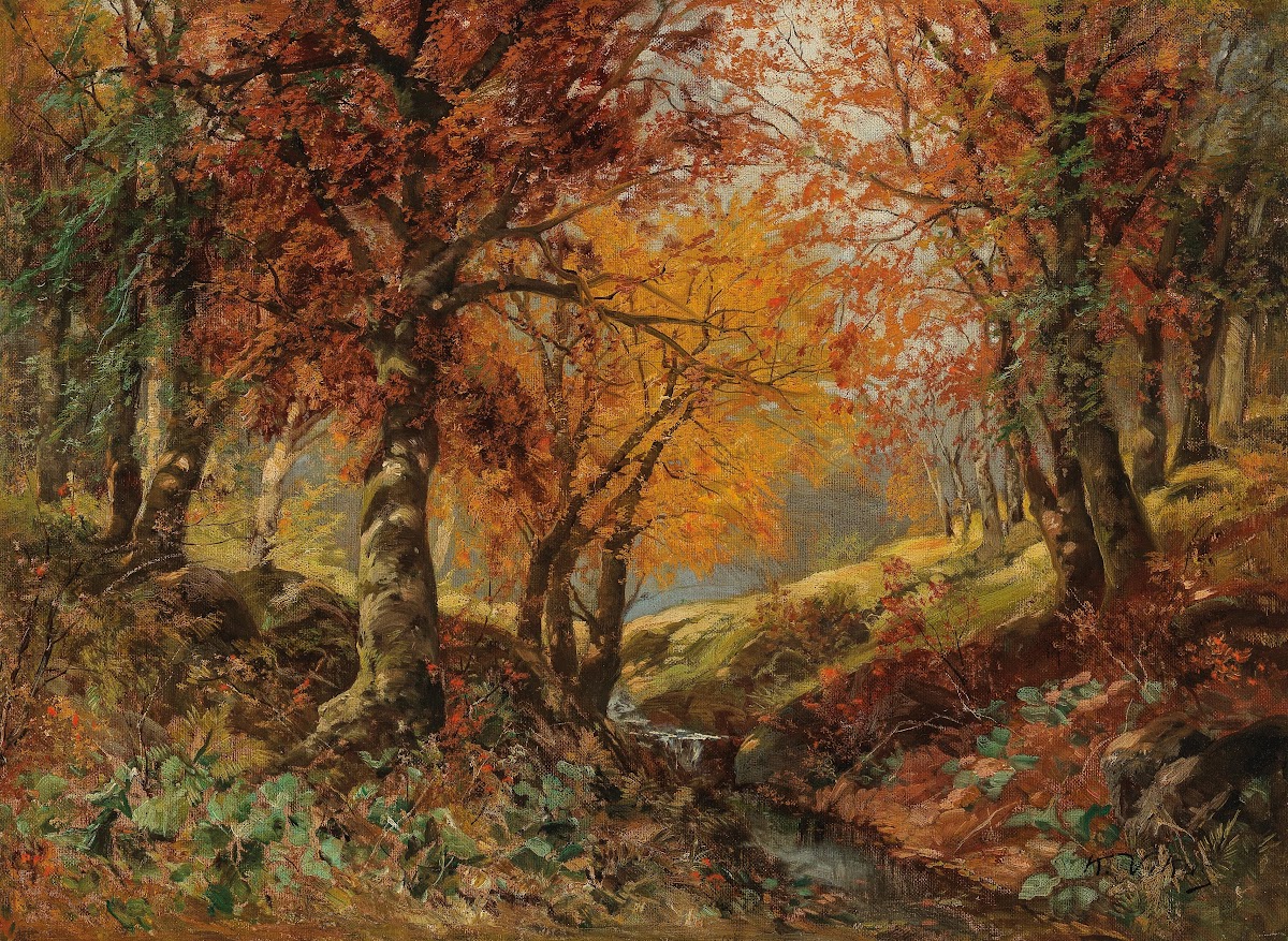 A Forest Glade in Autumn