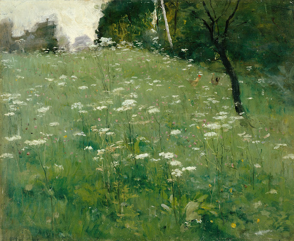 Meadow with Flowers 1904