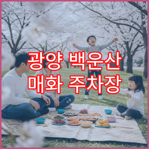 광양 백운산 매화 주차장 실시간 혼잡도 앱 확인 최적 방문 타이밍