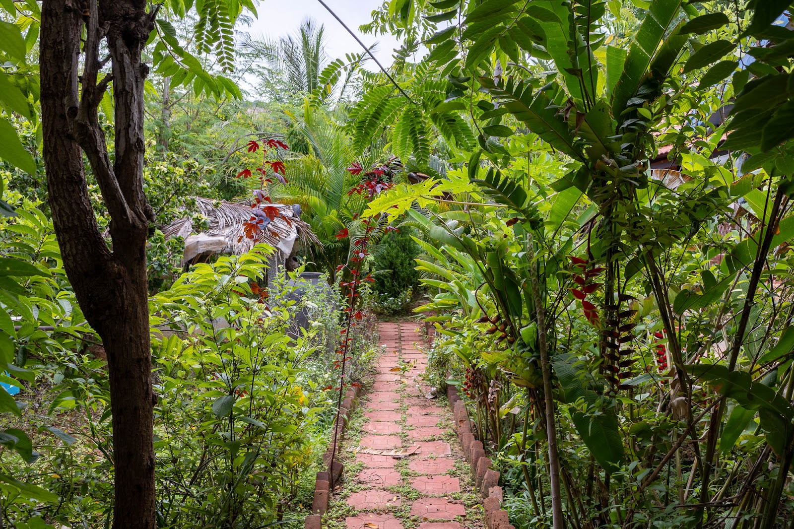 feel good farm stay