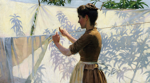 Shadows 1887