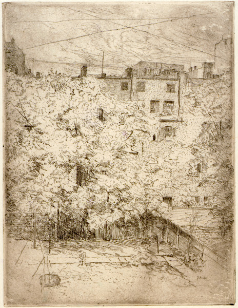 My Back Yard no 2 1890