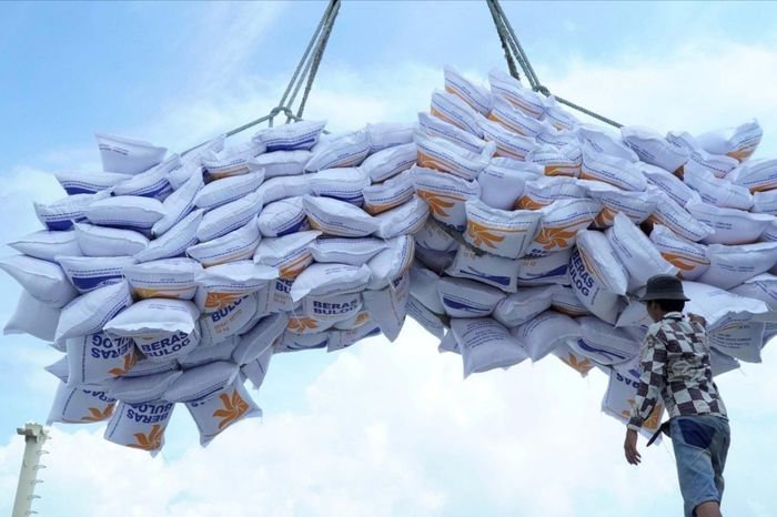 Căng thẳng Trung Đông đẩy giá gạo xuất khẩu châu Á đi lên - Đài Phát thanh và truyền hình Hà Nội