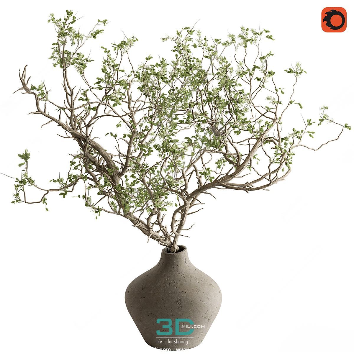978.Sell Album Indoor Plant PRO Vol 01