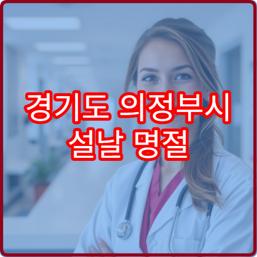 경기도 의정부시 설날 명절 소아과 연휴 진료 병원 소아 발열·설사·기침 응급 진료 가능