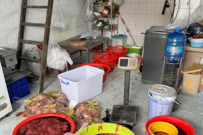 Đường dây sản xuất thịt bò giả quy mô lớn tuồn hơn 65 tấn thịt bẩn bơm hóa chất cấm ra thị trường - Báo VietnamPlus