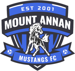 Mt Annan Mustangs logo