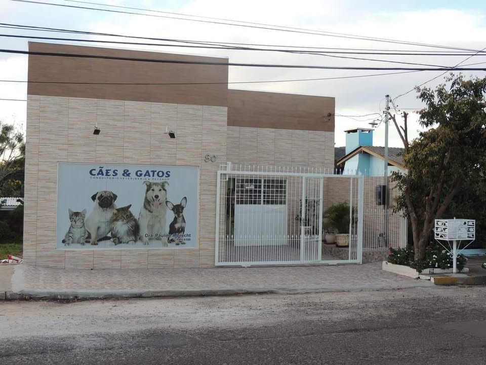 Clínica e Petshop Cães & Gatos — Rua Benno Diefenbach, 80