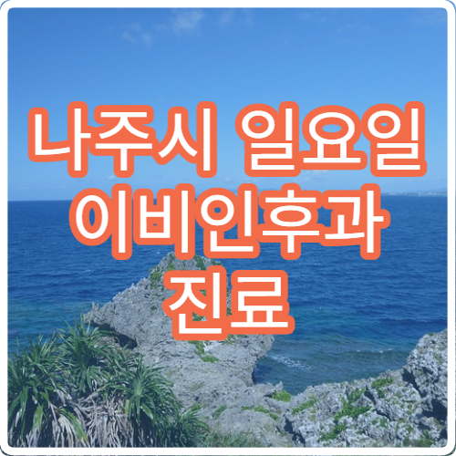 나주시 일요일 이비인후과 진료 병원 – 편도염, 중이염, 코막힘, 인후통 진료 가능