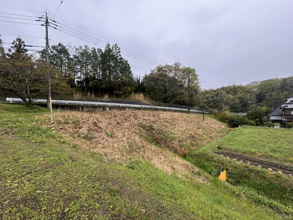 伐採後の市有地の法面。草が刈り取られ斜面が見えている
