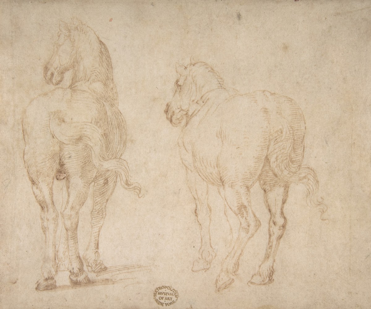 Horses 153040
