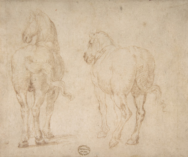 Horses 153040