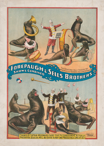 Forepaugh  Sells Brothers shows combined The great and only troupe of marvelousl