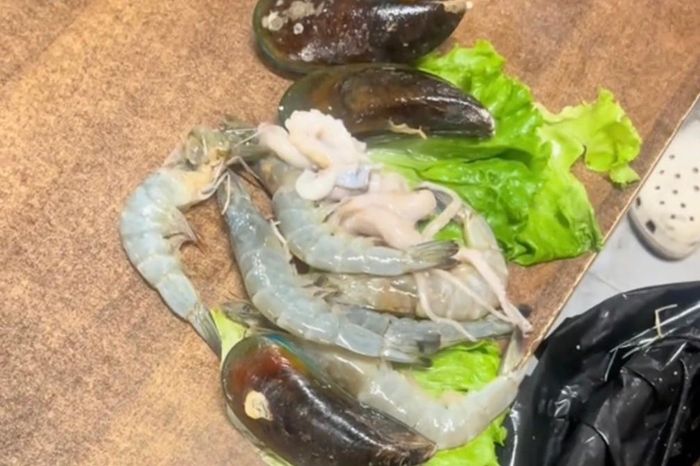 Video quán buffet bức xúc vụ khách giấu thức ăn thừa né phụ phí - Tạp chí Tri thức