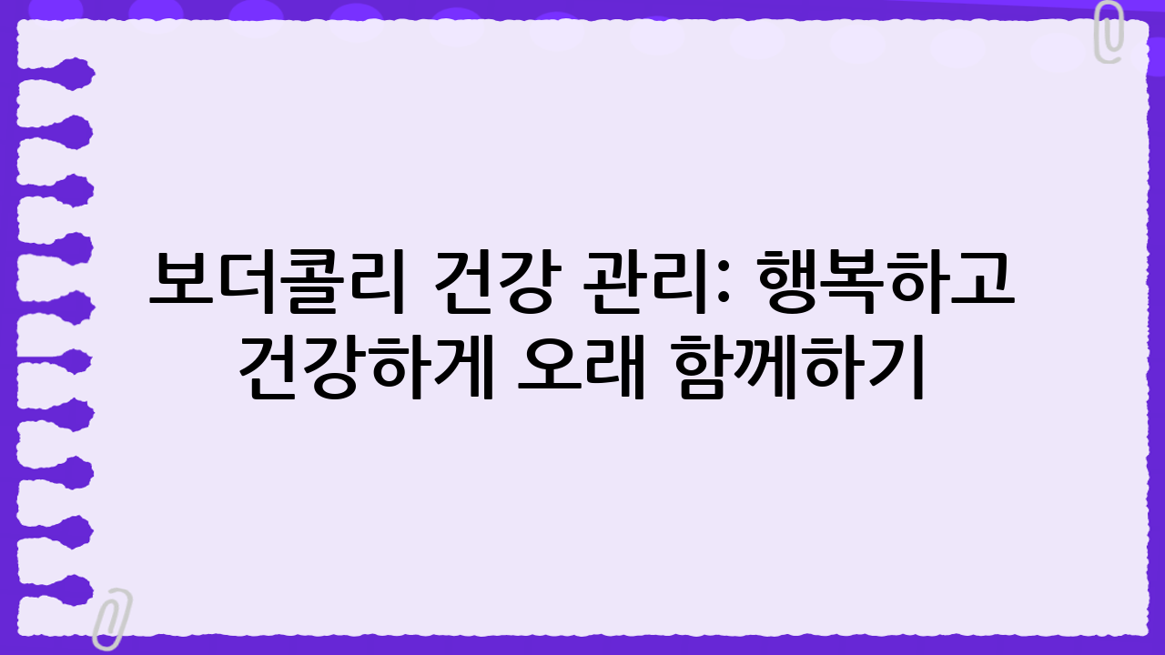 보더콜리 건강 관리: 행복하고 건강하게 오래 함께하기