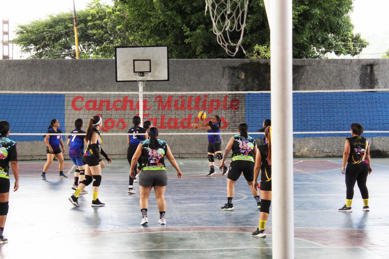 Imagen 6