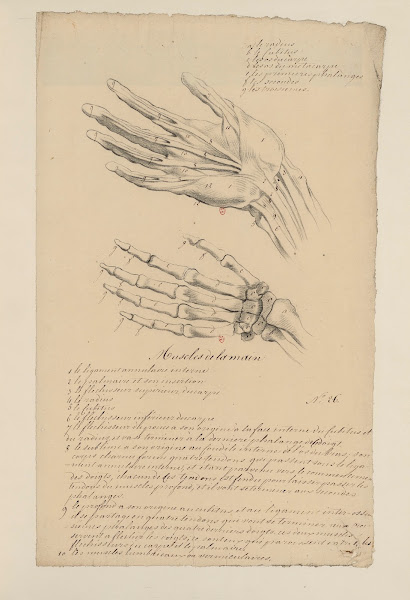 Cahiers dAnatomie Pl27 18th Century