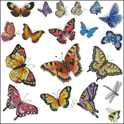 CMP 130185 Butterflies