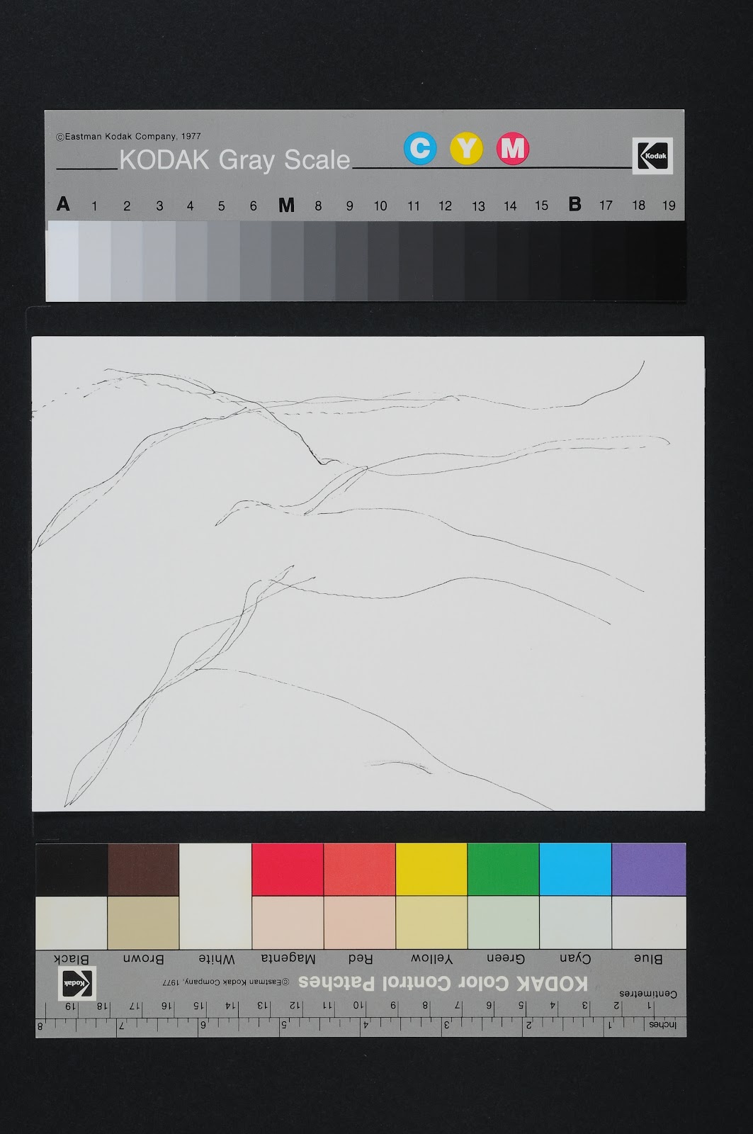 Drawn Poems