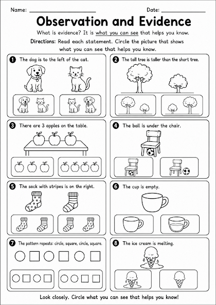 Observation and Evidence