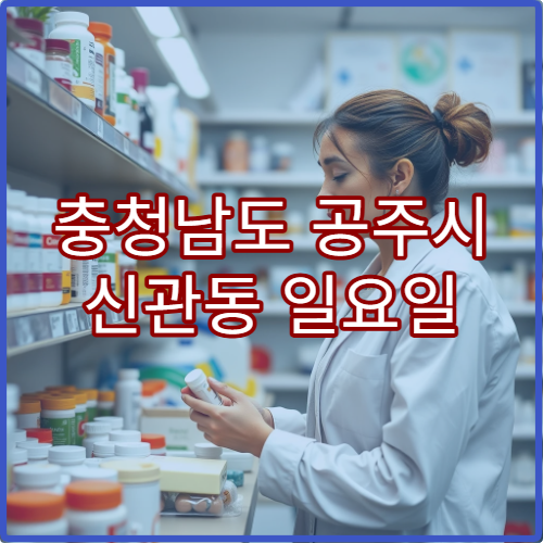 충청남도 공주시 신관동 일요일 당번약국 운영시간 및 위치 안내
