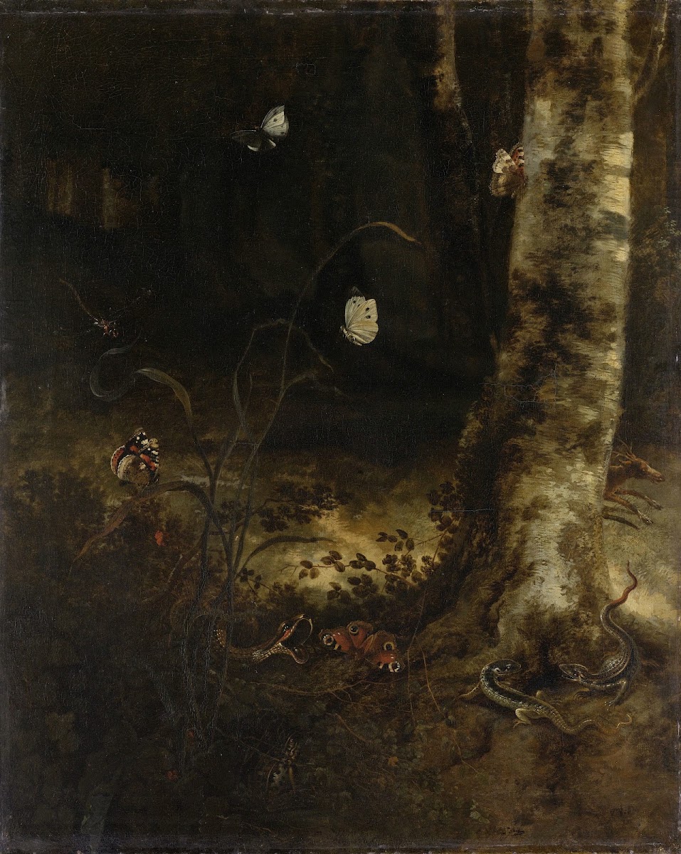 Forest Floor with a Snake Lizards Butterflies and other Insects 1650   1678